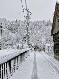 Rare Forest Retreat & Spa