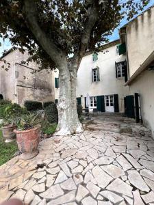 Villas La villa de Jacques et Mitzi : photos des chambres