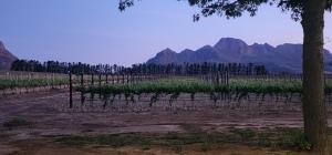 Stellenbosch Paradijs Cottage Paradyskloof