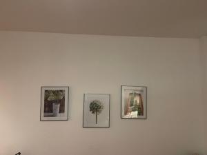 Comfy 1 bed Workers Apartment