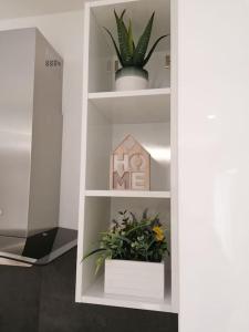 AmmoniteApartments Arena da Lucia