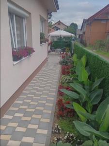 Apartman Nedeljković