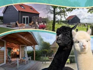 Aan de Waterspiegel - 阿赫特克克