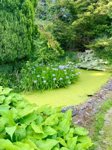 Charming 1 bed Georgian Apartment in Kildare