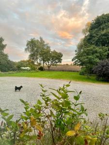 Charming 1 bed Georgian Apartment in Kildare