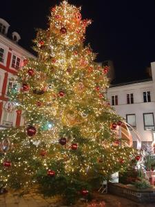 Hotels Brit Hotel Mulhouse Centre : photos des chambres