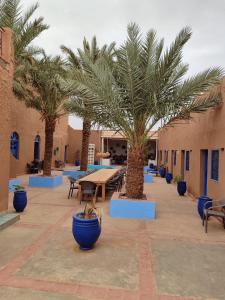 Restaurant Café Hotel Riad Sahara Activity