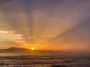 Appartements Les Pieds dans l eau : photos des chambres