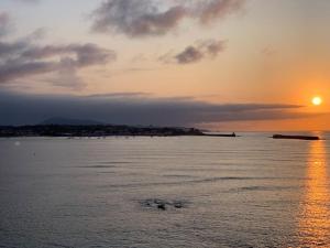 Appartements Les Pieds dans l eau : photos des chambres