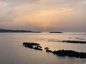 Appartements Les Pieds dans l eau : photos des chambres