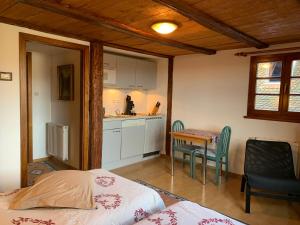 Appartements CHEZ SUZEL : photos des chambres