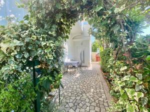 Apartments Franciska & Tihomir