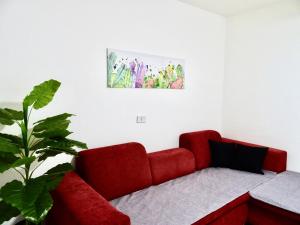 Apartamento de 1 dormitorio