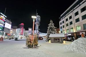 Central Luxury 2BDR with Private Sauna