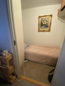 Central cozy accommodation, single room or bed in dormroom