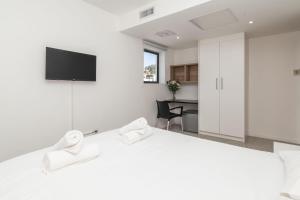 Penthouse Room with Shared Spaces in Metropole