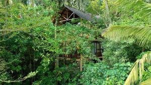 Jungle Village Unawatuna