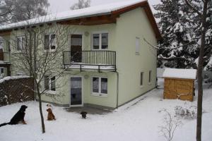 Zinnowitz Waldstr 8b Fewo EG neu