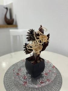 Studio apartman Gara