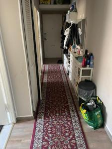 Dikmen Altorigo family home Berlin