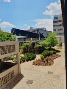 Poolside Escape in Maboneng