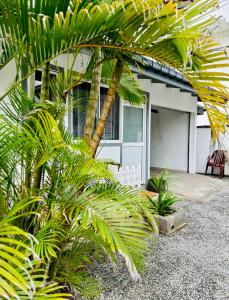 Mbeach Nest