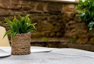 Casa Rural El Balcon de Tera