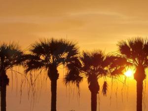 308 Modern Apartment in Costa Adeje