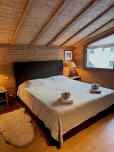 Cozy Suite Sils
