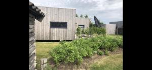 Anpektop - Ecohuisjes Terschelling