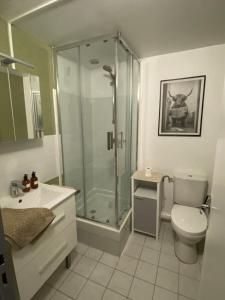 Le Piton - Appartements : photos des chambres