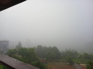 สิรีรินทร์ ภูหมอก