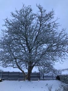 Durbuy House gîte noyer