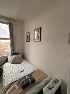 Cozy single room near station