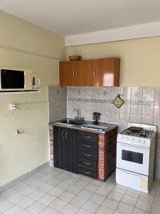 Laguna de los cisnes II