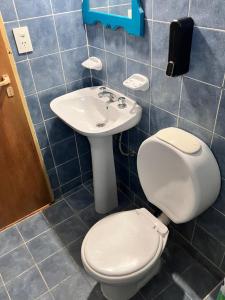 Laguna de los cisnes II