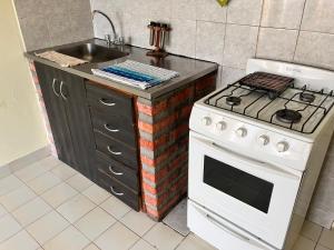 Laguna de los cisnes II