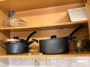 Laguna de los cisnes II