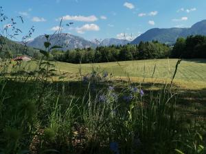 Matheishof inkl. Chiemgaukarte