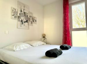 Appartements Agreable appartement au centre de La Teste : photos des chambres