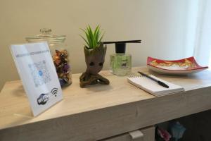 Vesuvius Voyager Haven