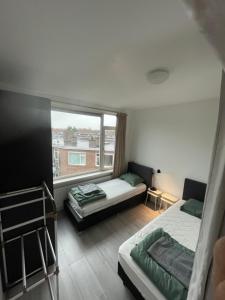 Sunny and spacious apartment