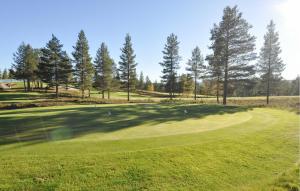 Gorgeous Home In Idre With Sauna