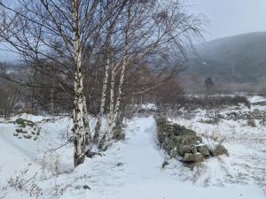 Chalet Catalan proche des pistes