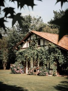 B&B / Chambres d'hotes Le Domaine de Petiosse : photos des chambres