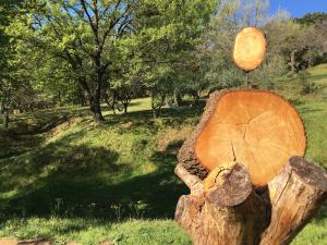 Maisons d'hotes Villa Fontane Provence : photos des chambres