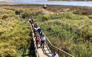 Estudio en Santa María del mar
