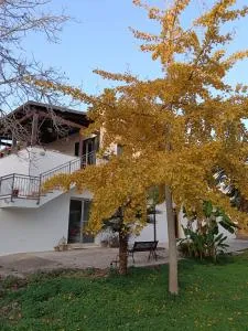 LA CASA DEL NOCE - 鲁法诺