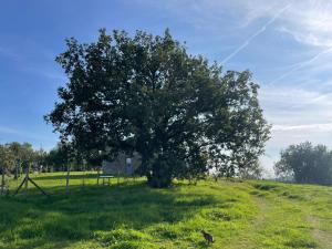 Villa AltoGiardino Chianti Senese