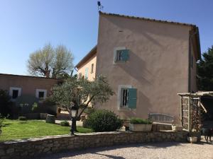 Cigales sous oliviers